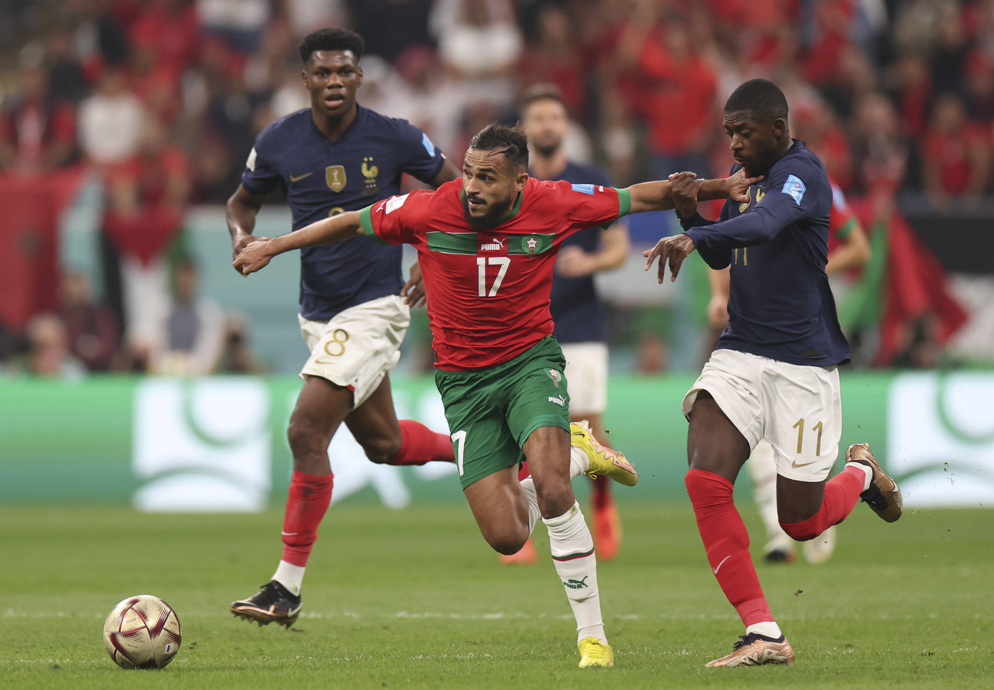 沃库森崭露 沃库森崭露